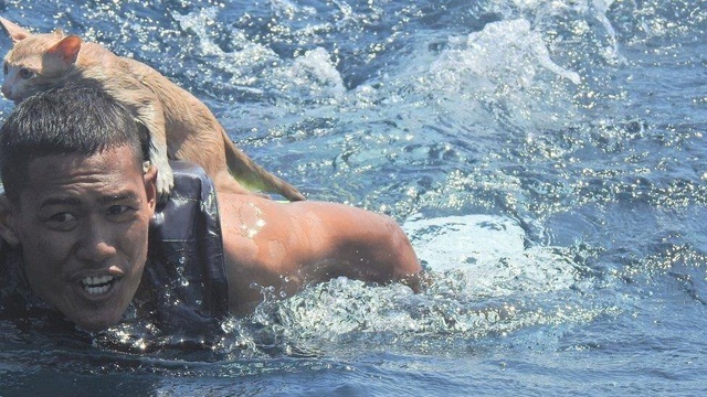 Tayland donanmasına bağlı denizciler yanmakta olan gemide mahsur kalan 4 kediyi kurtardı