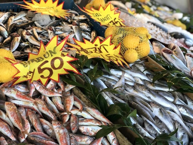 Hamsi sezonu kapanınca kilosu 250 lira olan kalkan, yok satmaya başladı Hamsi sezonu kapanınca kilosu 250 lira olan kalkan, yok satmaya başladı
