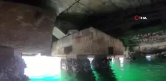 Denizde mahsur kalan kedi nefes kesen operasyonla kurtarıldı