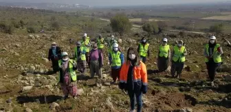 Manisa'da ormanlık alanlar kadınların eliyle genişliyor