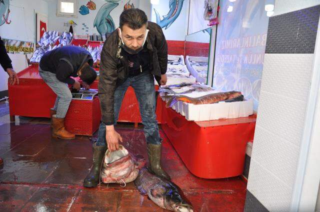 40 kiloluk dev yayın balığı bin 200 liraya satıldı