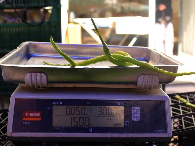 Pazarın şampiyonu kıl biber: Kilosu 30 TL