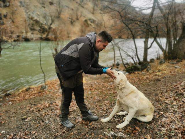 Munzur Çayı'na düşen köpeği kurtarmak için buz gibi suya girdi Munzur Çayı'na düşen köpeği kurtarmak için buz gibi suya girdi