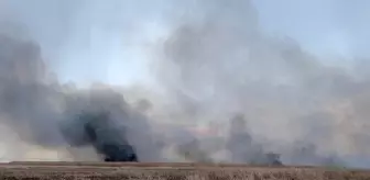 Eber Gölü'nde 6 ayrı noktada sazlık yangını