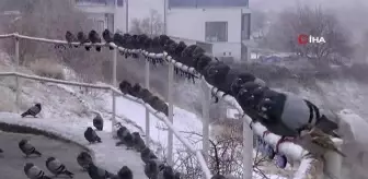 Karla birlikte peribacaları kartpostallık görüntüler verdi