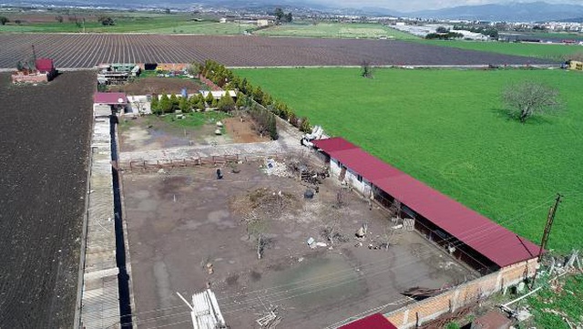 İran tavuğundan 'paskalya yumurtası' üretiyor! Tanesi 7 liradan kapış kapış satılıyor İran tavuğundan 'paskalya yumurtası' üretiyor! Tanesi 7 liradan kapış kapış satılıyor