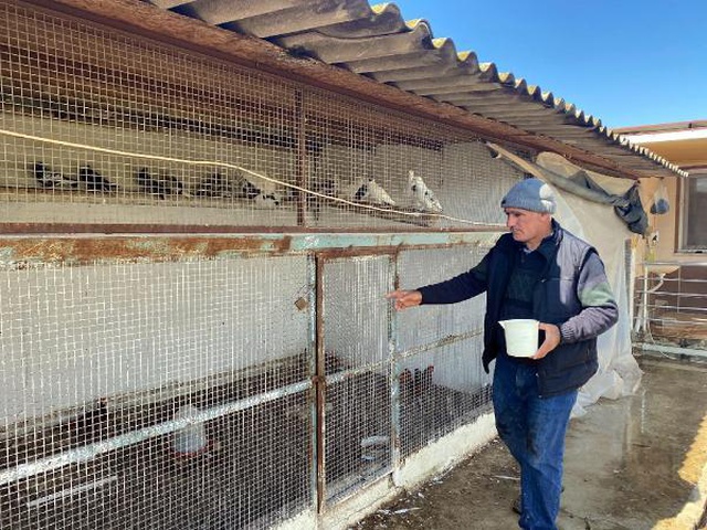 İran tavuğundan 'paskalya yumurtası' üretiyor! Tanesi 7 liradan kapış kapış satılıyor İran tavuğundan 'paskalya yumurtası' üretiyor! Tanesi 7 liradan kapış kapış satılıyor
