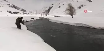 Donan dere yataklarının çözülmesiyle vatandaşlar buz gibi suda balık avına çıktı