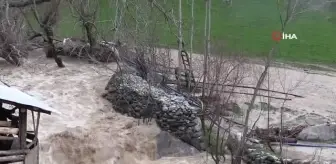 Son dakika gündem: Şırnak'ı sel vurdu: Köy yolları, ahır ve tarlalar sular altında kaldı