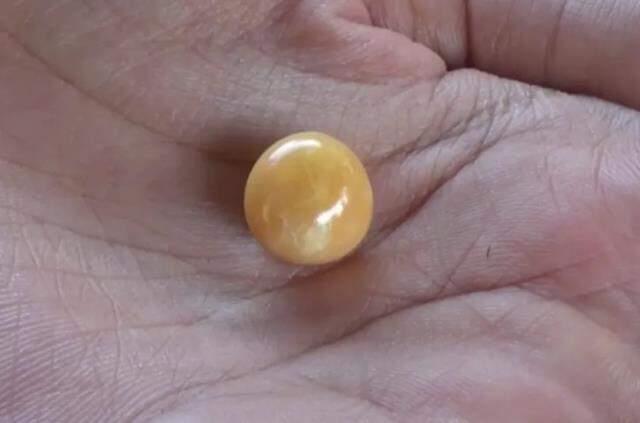 Pazardan aldığı deniz ürünü sayesinde hayatı değişti! Milyonlarca lira değerindeki inciye talep yağıyor