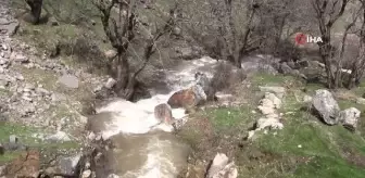 Şırnak'ta sağanak yağışın ardından şelaleler oluştu