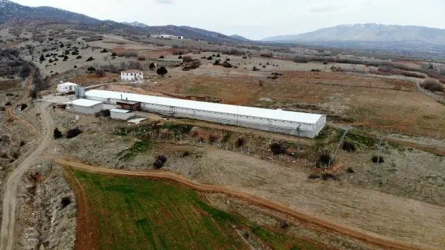 Müteahhitliği bırakıp devlet desteğiyle çiftlik kurdu, yılda 300 bin TL kazanıyor