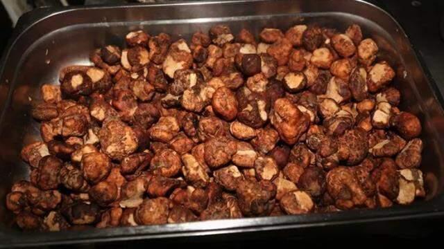 Şanlıurfa'da yalnızca ilkbaharda yetişen ve kebabı yapılan Keme mantarının kilosu 150 liradan satılıyor