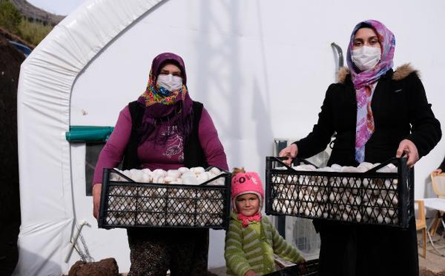 Gelin-kaynana, tarımın yapılamadığı Orta Toroslar'da mantar üretiyor Gelin-kaynana, tarımın yapılamadığı Orta Toroslar'da mantar üretiyor