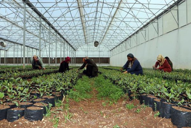 Gaziantepli 7 kadın, kurdukları kooperatifle ihracata başladı