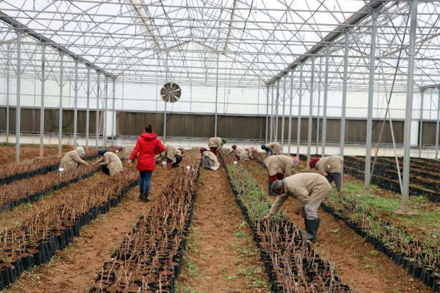 Gaziantepli 7 kadın, kurdukları kooperatifle ihracata başladı