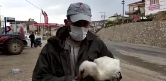 Bursa'da duyarlı çiftçi kanadı kırık leyleği yetkililere teslim etti