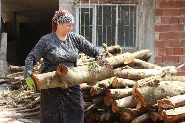 Doğu Karadeniz'de çay üreticileri kısıtlamadan muaf tutuldu