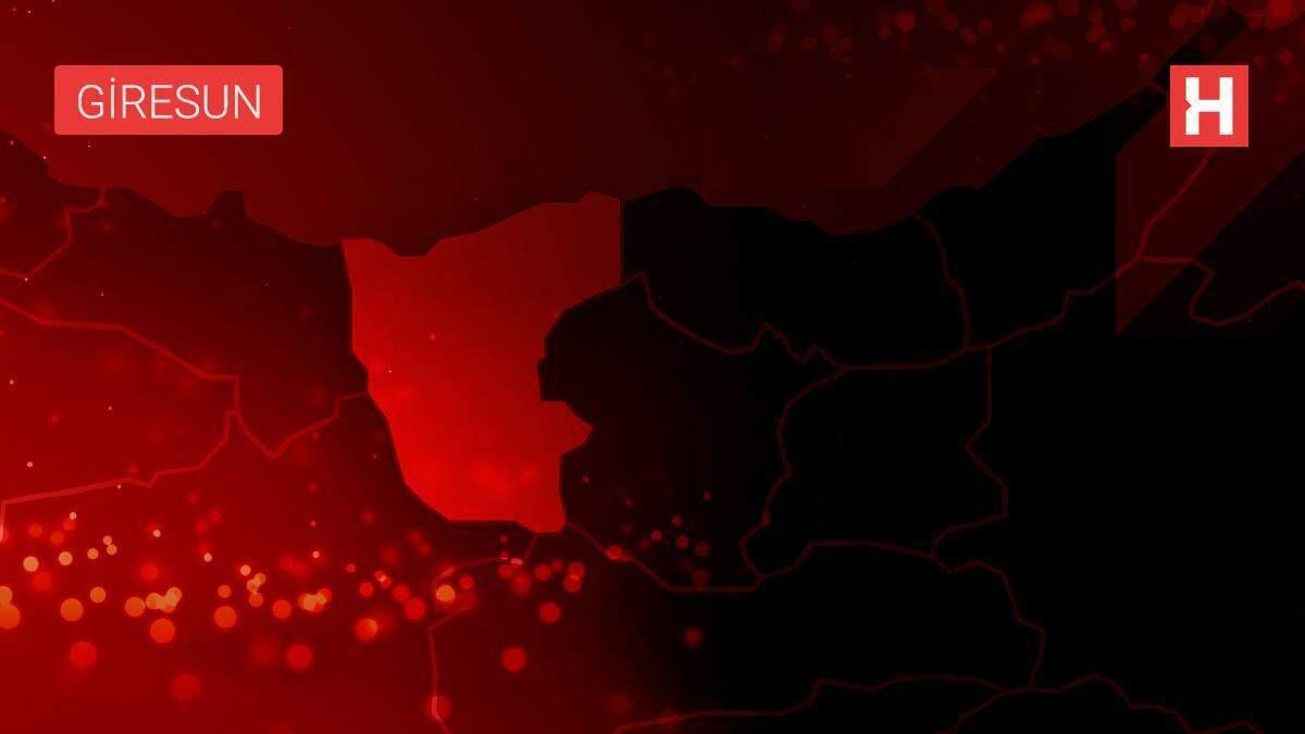Son dakika haber! Giresun'da üzerine ağaç devrilen kişi hayatını kaybetti