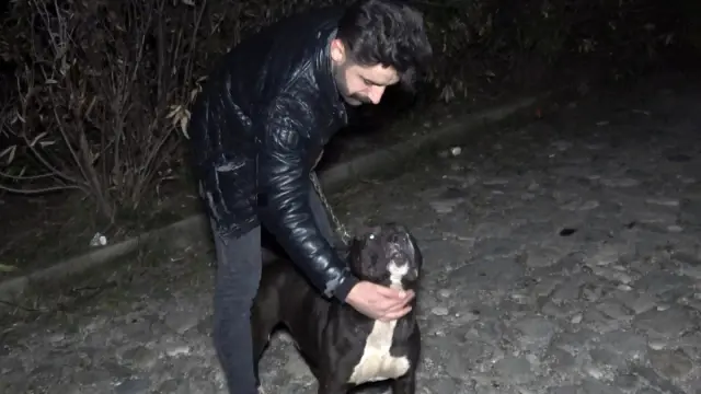 Tecavüz şüphelisini köpek yakaladı, esnaf dövdü