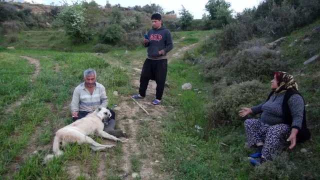 Vurularak öldürülen çoban köpeğinin başında gözyaşlarına boğuldu