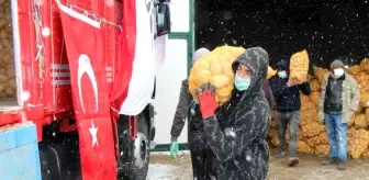 TMO, Nevşehir'de patates alımlarına başladı