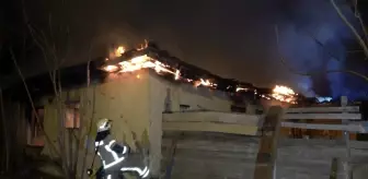 Bina yangını mahalleliyi sokağa döktü, sosyal mesafe hiçe sayıldı
