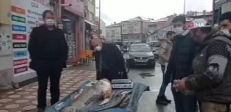 Kendi boyundan uzun balık yakaladı