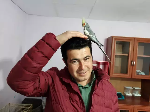 İlk sahibi uzman çavuş! Bu papağan her sabah ev halkını 'Ölürüm Türkiye'm' parçasıyla uyandırıyor