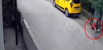 Beslediği kazların saldırısına uğrayıp yerlerde sürüklenince kazları satışa çıkardı