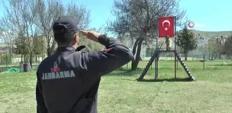 JAKEM'in köpekleri görenleri şaşırtıyor... Matematik işlemi yapıp, şınav ve mekik çekebiliyorlar