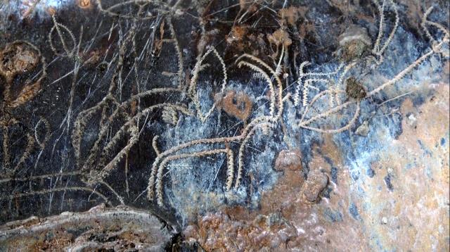 Arkeologları heyecanlandıran figürler: Mersin'de yaklaşık 8 bin yıllık resimler bulundu