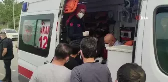 Direksiyon hakimiyetini kaybetti, aydınlatma direği ve ağacı yerinden söküp takla attı: 1 yaralı