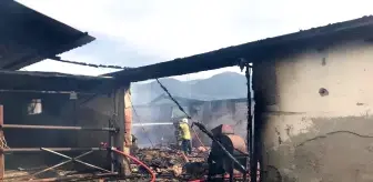 Son dakika haber... İzmir'deki hayvan çiftliğinde korkutan yangın