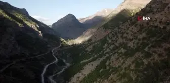 Şırnak'ta karlar eridi doğa yeşile büründü