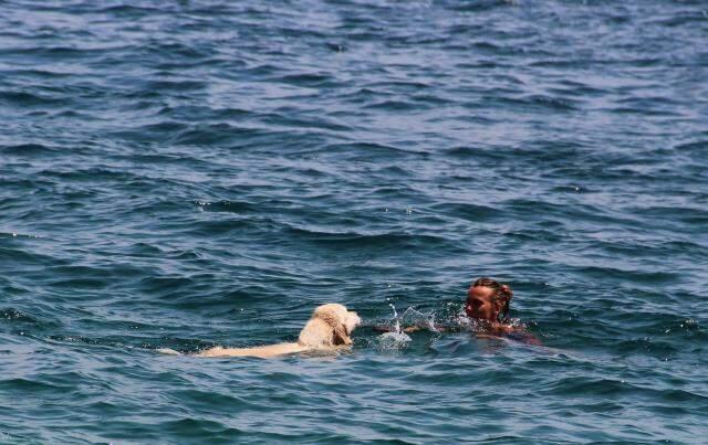Antalya sahilleri onlara kaldı! Rus turist, köpeğini de 9 kilometre uçak yolculuyla tatile getirdi