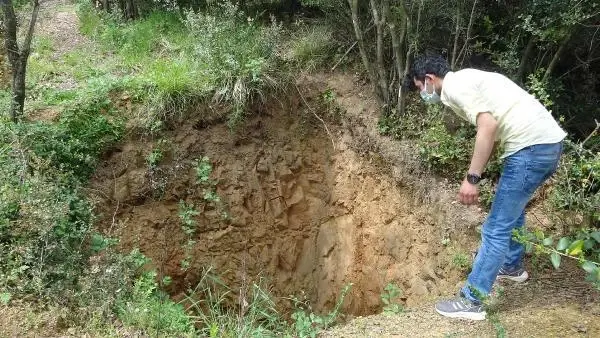 Sultangazi'de defineciler ormanı delik deşik etti; devasa çukurlar açtı