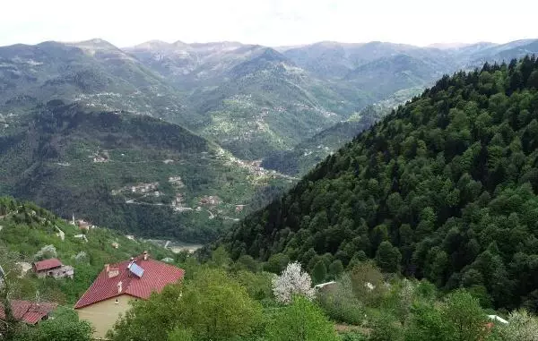 10 yıl önce aralarında tartışma yaşayan komşular, evlerine çıkabilmek için aynı yola 2 farklı merdiven yaptı