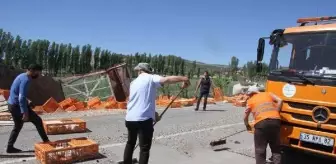 Devrilen TIR'daki yüzlerce tavuk öldü