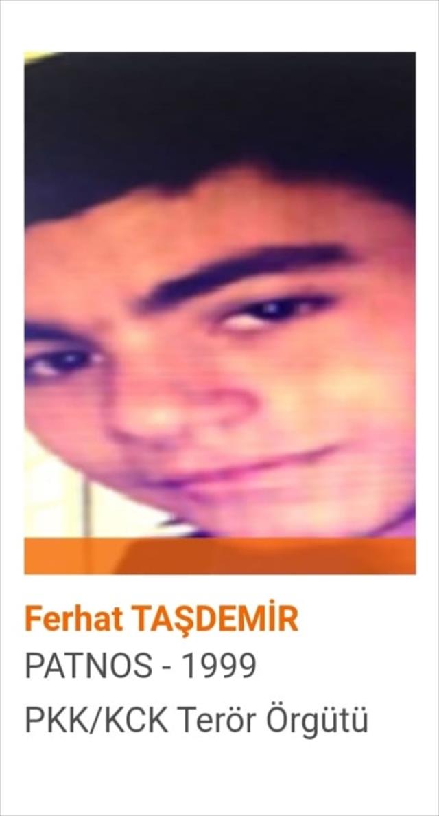 'Bahoz' kod adlı terörist Ferhat Taşdemir öldürüldü