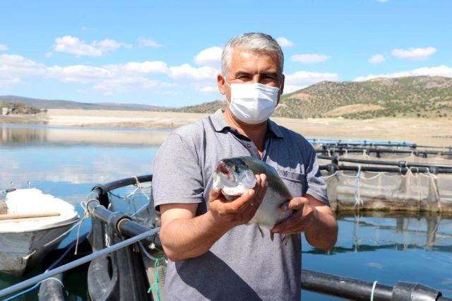 Denizi olmayan Yozgat'ta yılda 60 ton balık üretiyor