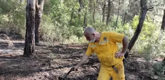 Kısıtlamada mangal keyfi ormanı yaktı