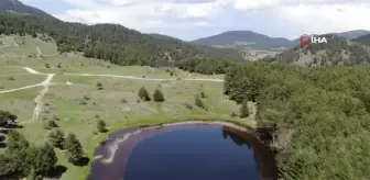 Ankara'nın yaylalarına bahar geldi