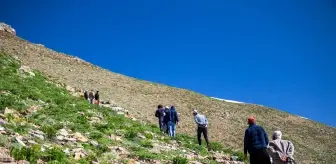 Amanos Dağları'na doğa yürüyüşçüleri ve amatör fotoğrafçıların ilgi odağı oluyor