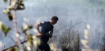 Son dakika haberi... Antalya'da yangın sazlık alanı küle çevirdi