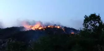 Son dakika haberi: Bingöl'de orman yangını 2 günde kontrol altına alınabildi