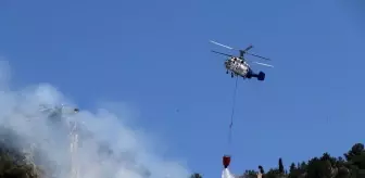 Alanya Kalesi'nin bulunduğu yarımadadaki ormanlık alanda yangın