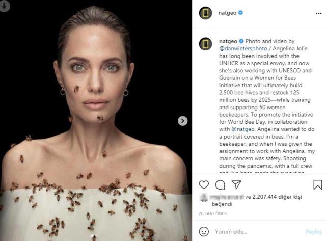 Angelina Jolie arılarla poz verdi: 18 dakika öylece durdu