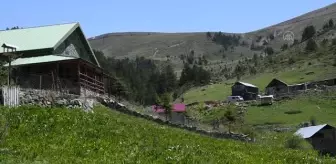 GÜMÜŞHANE - Sessizliğin hakim olduğu Limni Gölü, ziyaretçilerini bekliyor
