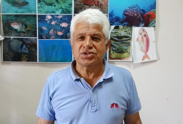 Prof. Dr. Mehmet Gökoğlu, denize girmeye korkanların içini rahatlattı: Temasla zehirlemiyor